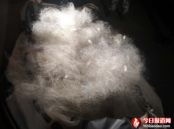 黑龍江賓縣:倆男子趁夜色偷捕魚 沒等下網(wǎng)就進(jìn)了公安局31.png