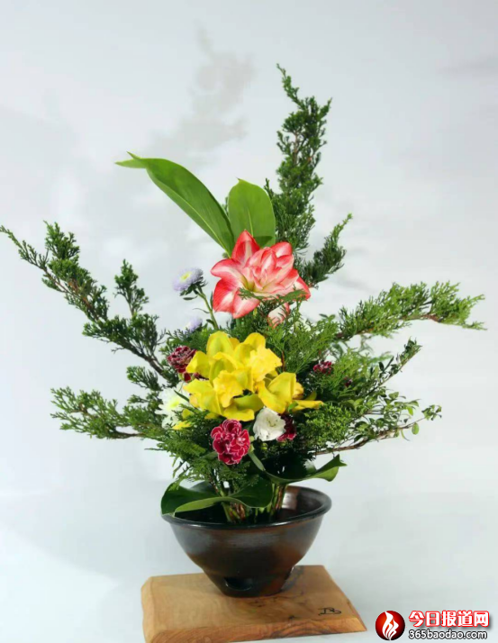 丁再獻題聯(lián):走近插花文化藝術(shù)家袁乃夫1277.png