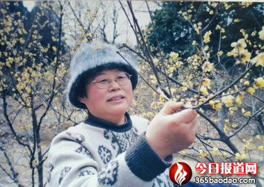 焦裕祿永遠(yuǎn)活在人民心中2495.png